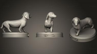 3D model Realistic Dachshund (STL)